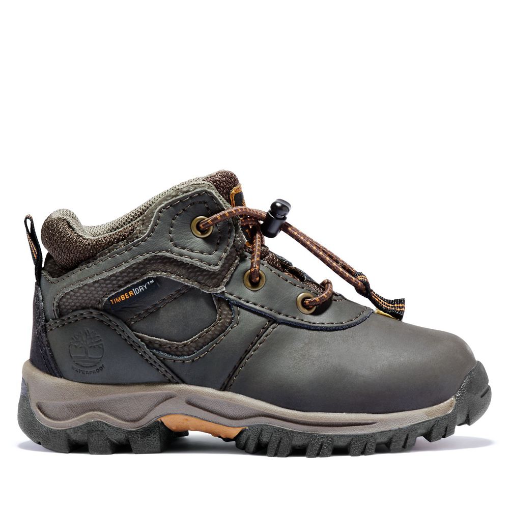 Bocanci De Drumeție Timberland Copii Maro - Toddler Mt. Maddsen Waterproof - Romania - MNBTUZ376